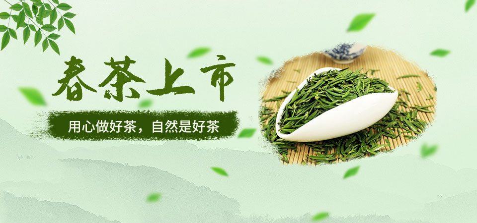 春茶上市